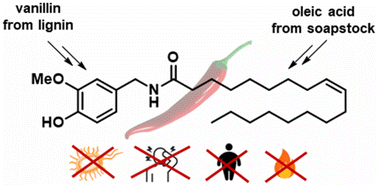 Graphical abstract: Biocatalytic synthesis of the non-pungent capsaicinoid olvanil from agri-food waste