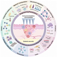 Graphical abstract: Advances in immunomodulatory microneedles for diabetic wound healing