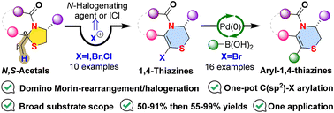 Graphical abstract: Practical and scalable access to halogenated 1,4-thiazines through a domino Morin-rearrangement/halogenation of N,S-acetals and their arylation based on Suzuki–Miyaura coupling