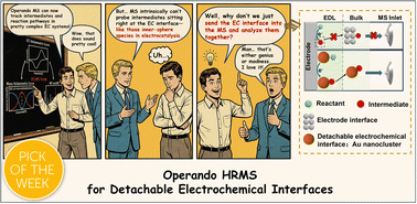 Graphical abstract: Direct visualization of inner-sphere electrocatalytic reactions as they occur at detachable electrochemical interfaces