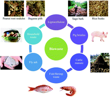 Graphical abstract: Waste-to-wealth: biowaste valorization into valuable bio(nano)materials