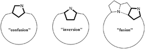 Graphical abstract: Confusion, inversion, and creation—a new spring from porphyrin chemistry