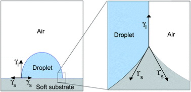 Graphical abstract: Static wetting on deformable substrates, from liquids to soft solids