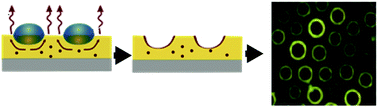 Graphical abstract: Tailoring of quantum dot emission efficiency by localized surface plasmon polaritons in self-organized mesoscopic rings