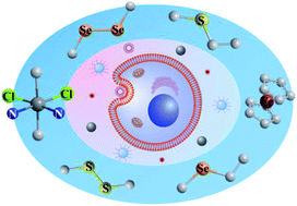 Graphical abstract: Redox-responsive polymers for drug delivery: from molecular design to applications