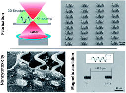 Graphical abstract: Noncytotoxic artificial bacterial flagella fabricated from biocompatible ORMOCOMP and iron coating