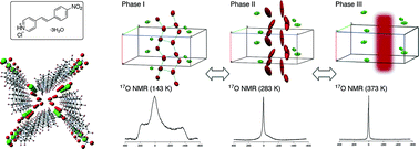 Graphical abstract: Porous organic hydrate crystals: structure and dynamic behaviour of water clusters