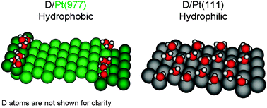 Graphical abstract: Long-range influence of steps on water adsorption on clean and D-covered Pt surfaces