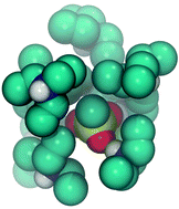 Graphical abstract: Hydrogen bonding in a mixture of protic ionic liquids: a molecular dynamics simulation study