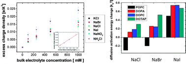 Graphical abstract: Ion specific effects: decoupling ion–ion and ion–water interactions