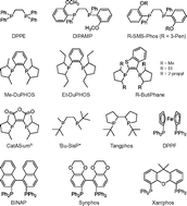 Graphical abstract: Rhodium diphosphine complexes: a case study for catalyst activation and deactivation