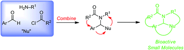 Graphical abstract: Evolution of a strategy for preparing bioactive small molecules by sequential multicomponent assembly processes, cyclizations, and diversification