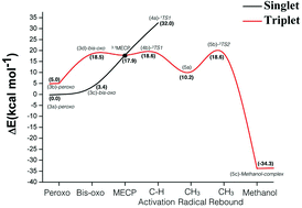 Graphical abstract: A radical rebound mechanism for the methane oxidation reaction promoted by the dicopper center of a pMMO enzyme: a computational perspective