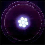 Graphical abstract: Glow discharge optical emission spectrometry elemental mapping with restrictive anode array masks