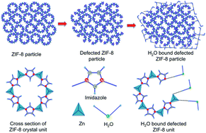 Graphical abstract: Surface defection reduces cytotoxicity of Zn(2-methylimidazole)2 (ZIF-8) without compromising its drug delivery capacity