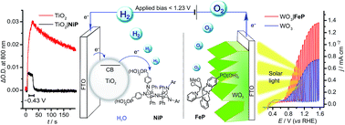 Graphical abstract: Precious-metal free photoelectrochemical water splitting with immobilised molecular Ni and Fe redox catalysts