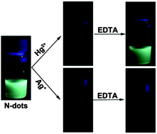 Graphical abstract: N-dots as a photoluminescent probe for the rapid and selective detection of Hg2+ and Ag+ in aqueous solution