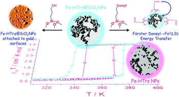 Graphical abstract: Studies on bifunctional Fe(ii)-triazole spin crossover nanoparticles: time-dependent luminescence, surface grafting and the effect of a silica shell and hydrostatic pressure on the magnetic properties