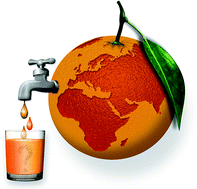 Graphical abstract: Rapid, high-throughput, and quantitative determination of orange juice adulteration by Fourier-transform infrared spectroscopy