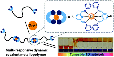 Graphical abstract: Multi-responsive coordination polymers utilising metal-stabilised, dynamic covalent imine bonds