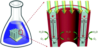 Graphical abstract: Solution processable formation of a few nanometer thick-disordered overlayer on the surface of open-ended TiO2 nanotubes