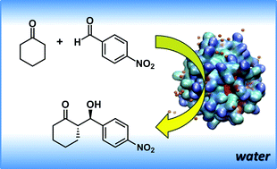 Graphical abstract: Chiral organocatalysts based on lipopeptide micelles for aldol reactions in water