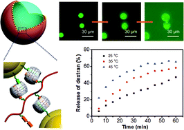 Graphical abstract: Dual-responsive supramolecular colloidal microcapsules from cucurbit[8]uril molecular recognition in microfluidic droplets