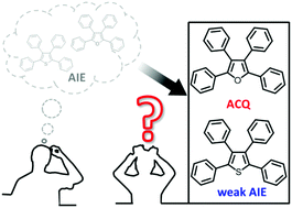 Graphical abstract: Tetraphenylfuran: aggregation-induced emission or aggregation-caused quenching?