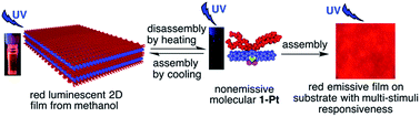 Graphical abstract: Construction and luminescence property of a highly ordered 2D self-assembled amphiphilic bidentate organoplatinum(ii) complex