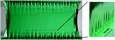 Graphical abstract: Fringe instability in constrained soft elastic layers