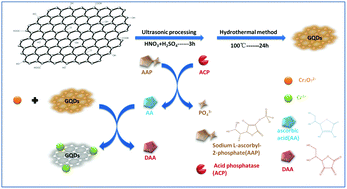 Graphical abstract: Graphene quantum dots as selective fluorescence sensor for the detection of ascorbic acid and acid phosphatase via Cr(vi)/Cr(iii)-modulated redox reaction