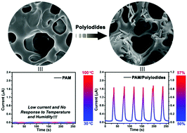 Graphical abstract: A smart polymer with a high sensitivity to temperature and humidity based on polyacrylamide hydrogel doped with polyiodide