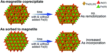 Graphical abstract: Emerging investigator series: As(v) in magnetite: incorporation and redistribution