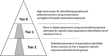 Graphical abstract: Improving the relevance and efficiency of human exposure assessments within the process of regulatory risk assessment