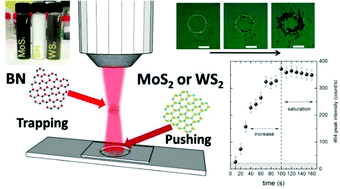 Graphical abstract: Optical trapping and optical force positioning of two-dimensional materials