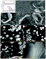 Graphical abstract: One-step coelectrodeposition-assisted layer-by-layer assembly of gold nanoparticles and reduced graphene oxide and its self-healing three-dimensional nanohybrid for an ultrasensitive DNA sensor