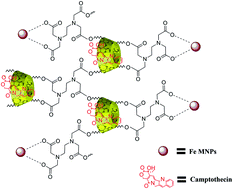 Graphical abstract: Magneto-chemotherapy for cervical cancer treatment with camptothecin loaded Fe3O4 functionalized β-cyclodextrin nanovehicle