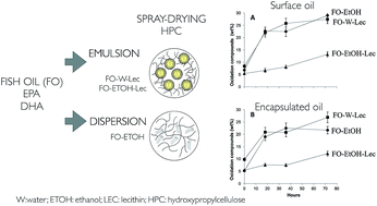 Graphical abstract: Influence of solvent and lecithin in microencapsulation of fish oil by spray-drying