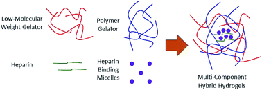 Graphical abstract: Multi-component hybrid hydrogels – understanding the extent of orthogonal assembly and its impact on controlled release