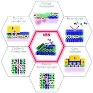 Graphical abstract: Synthesis of hexagonal boron nitride heterostructures for 2D van der Waals electronics