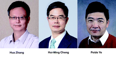 Graphical abstract: 2D nanomaterials: beyond graphene and transition metal dichalcogenides