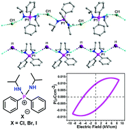 Graphical abstract: Hydrogen-bonded organo-amino phosphonium halides: dielectric, piezoelectric and possible ferroelectric properties