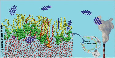 Graphical abstract: The role of DPPG in lung surfactant exposed to benzo[a]pyrene