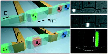 Graphical abstract: Extraction of electrokinetically separated analytes with on-demand encapsulation