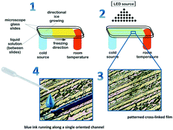 Graphical abstract: PEG-based cross-linked films with aligned channels: combining cryogenic processing and photopolymerization for the design of micro-patterned oriented platforms