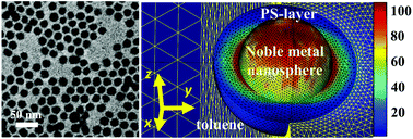 Graphical abstract: An integrated experimental and theoretical study on the optical properties of uniform hairy noble metal nanoparticles