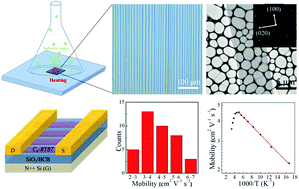 Graphical abstract: Controllable growth of C8-BTBT single crystalline microribbon arrays by a limited solvent vapor-assisted crystallization (LSVC) method