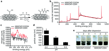 Graphical abstract: Carbon nanotube doped pericardial matrix derived electroconductive biohybrid hydrogel for cardiac tissue engineering