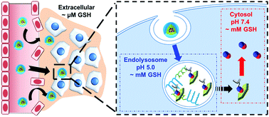 Graphical abstract: A cyotosol-selective nitric oxide bomb as a new paradigm of an anticancer drug