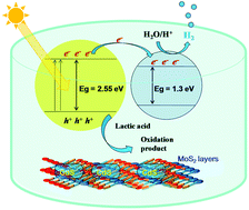 Graphical abstract: Two-dimensional semiconductor transition metal based chalcogenide based heterostructures for water splitting applications